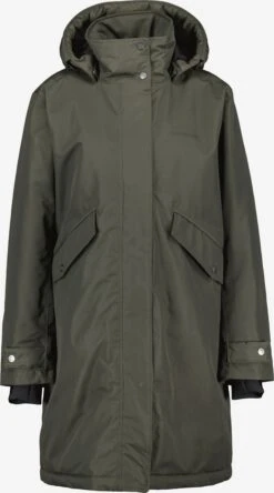 DIDRIKSONS Vestes Dextérieur Veste Fonctionnelle JOSEFINE WNS Femme Vert